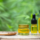 Illustration for article titled Your periodic reminder that CBD-infused foods aren’t FDA-approved